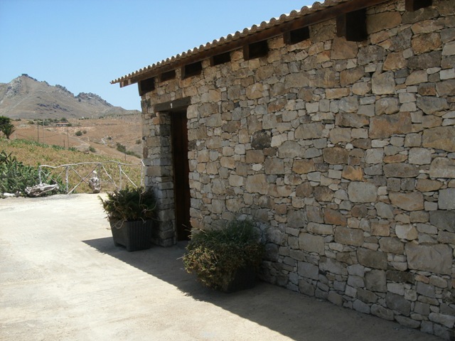 GEDC0446.jpg